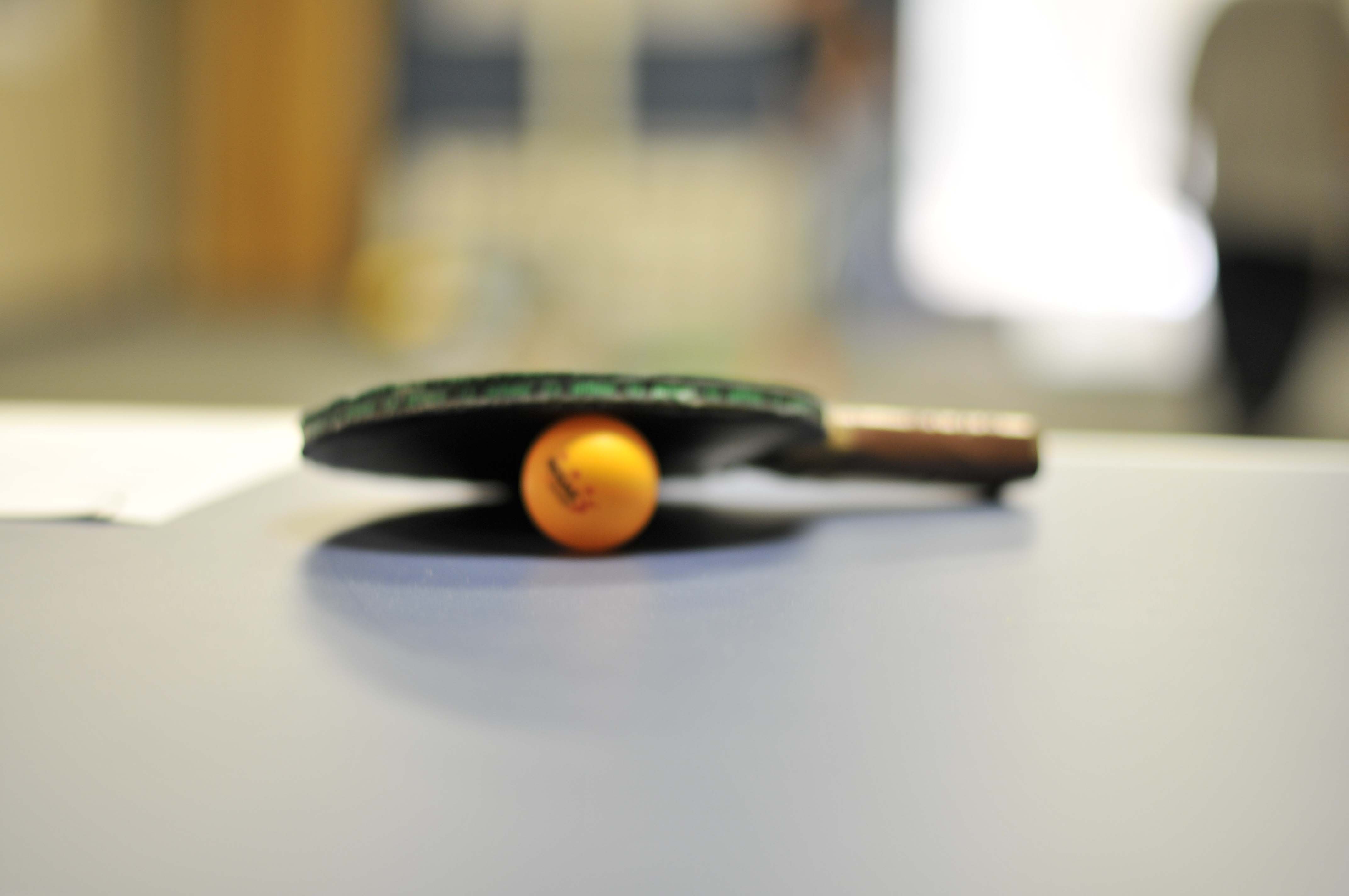 ping pong paddle