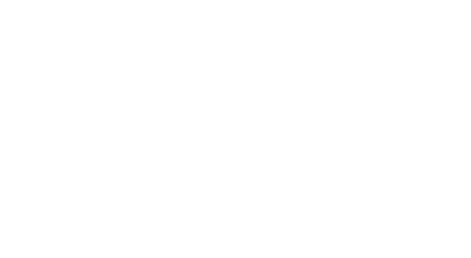 BD Logo White